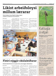 Síða 3