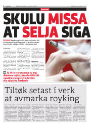 Síða 6