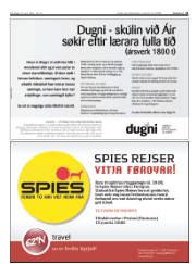 Síða 21
