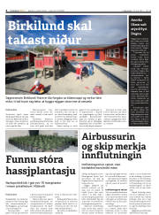Síða 4