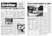 Síða 14