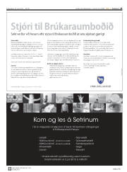 Síða 25