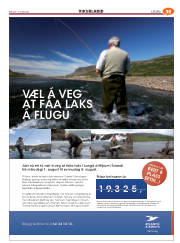 Síða 91