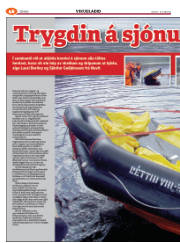 Síða 102