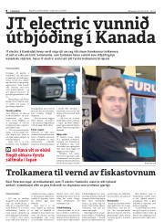Síða 8