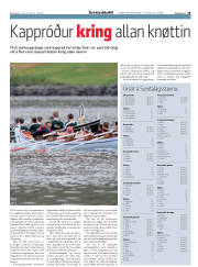 Síða 19