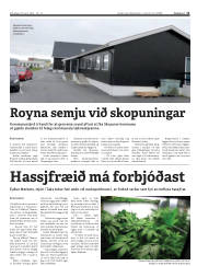 Síða 11