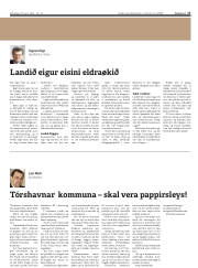 Síða 17