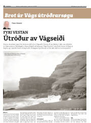 Síða 20