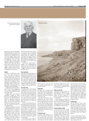 Síða 21