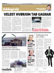 Síða 2