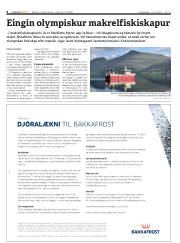 Síða 8