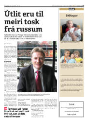 Síða 13