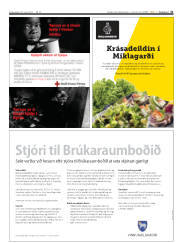 Síða 31