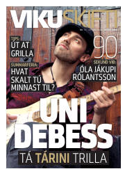 Síða 41