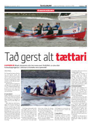 Síða 19