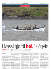 Síða 20