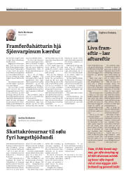 Síða 25