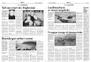 Síða 5