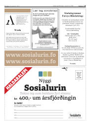 Síða 29