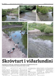Síða 8