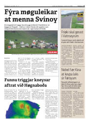 Síða 11