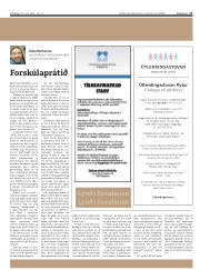 Síða 17