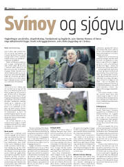 Síða 20