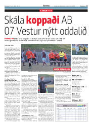 Síða 29