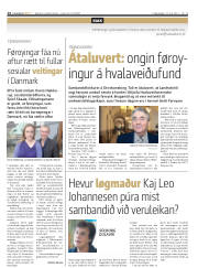 Síða 14