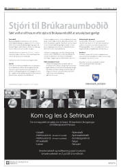 Síða 22