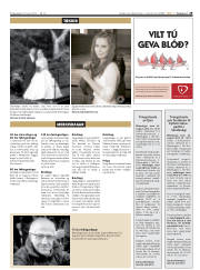 Síða 29