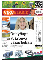 Síða 53