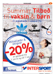Síða 55