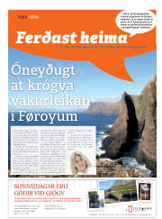 Síða 65