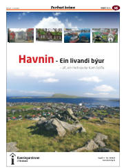 Síða 67