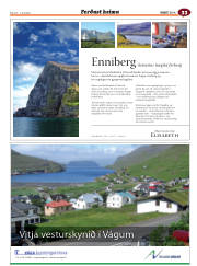 Síða 85