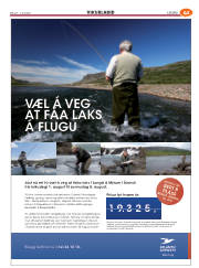 Síða 93