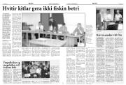 Síða 5