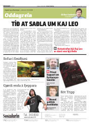 Síða 2