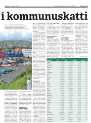 Síða 17