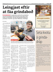Síða 19