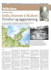 Síða 20