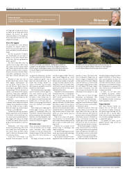 Síða 21