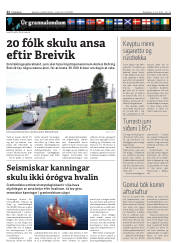 Síða 22