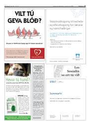 Síða 27