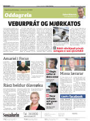Síða 2