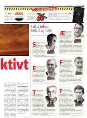 Síða 17