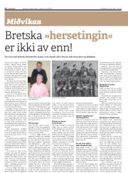 Síða 22