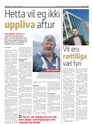Síða 17